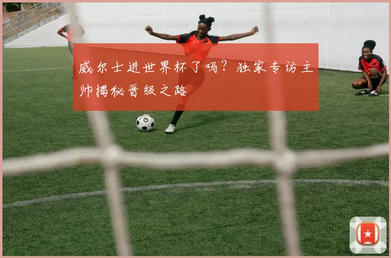 威尔士进世界杯了吗？独家专访主帅揭秘晋级之路