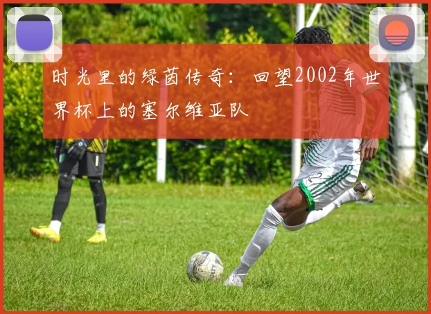 时光里的绿茵传奇:回望2002年世界杯上的塞尔维亚队