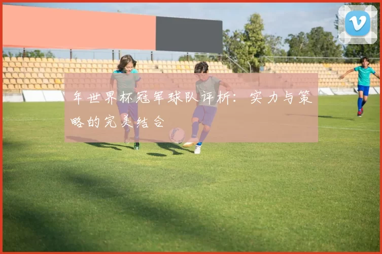 年世界杯冠军球队评析:实力与策略的完美结合
