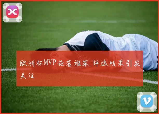 欧洲杯MVP花落谁家 评选结果引发关注