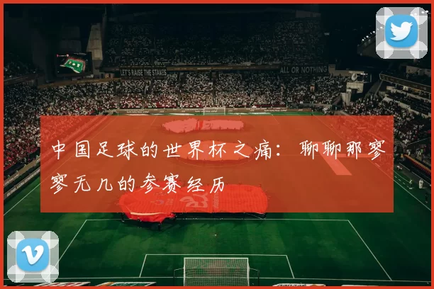 中国足球的世界杯之痛：聊聊那寥寥无几的参赛经历