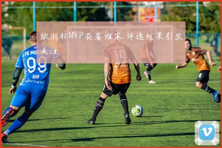 欧洲杯MVP花落谁家 评选结果引发关注