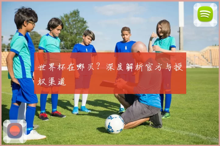 世界杯在哪买?深度解析官方与授权渠道
