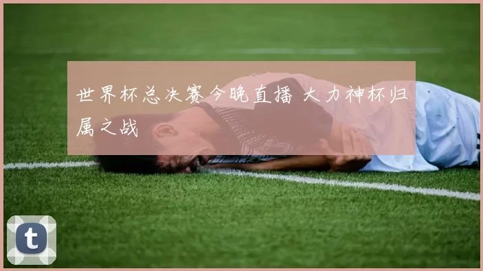 世界杯总决赛今晚直播 大力神杯归属之战