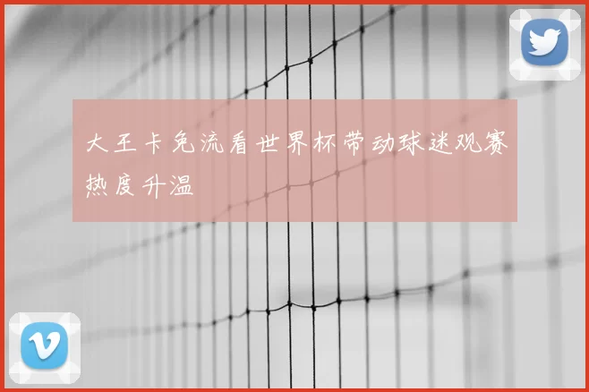 大王卡免流看世界杯带动球迷观赛热度升温