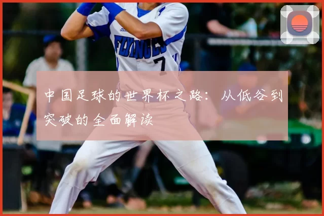 中国足球的世界杯之路：从低谷到突破的全面解读