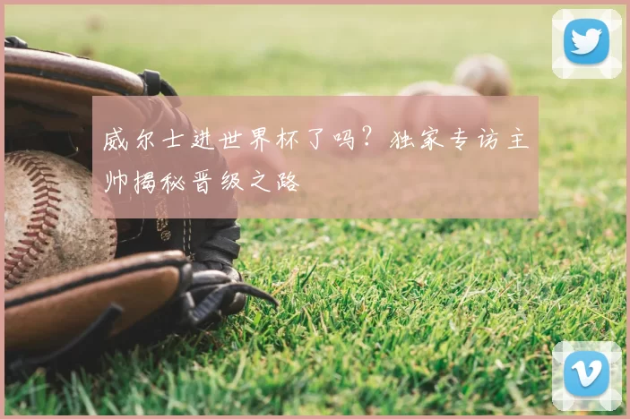 威尔士进世界杯了吗？独家专访主帅揭秘晋级之路