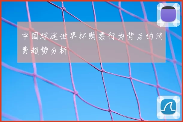中国球迷世界杯购票行为背后的消费趋势分析