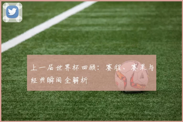 上一届世界杯回顾：赛程、赛果与经典瞬间全解析