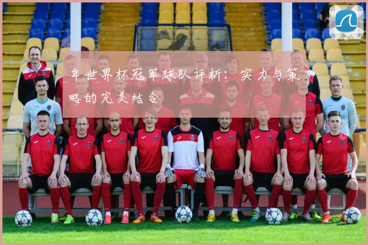 年世界杯冠军球队评析：实力与策略的完美结合