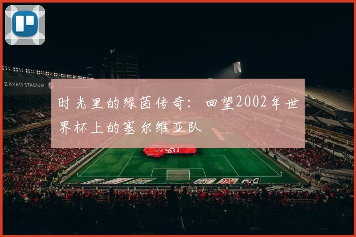 时光里的绿茵传奇:回望2002年世界杯上的塞尔维亚队