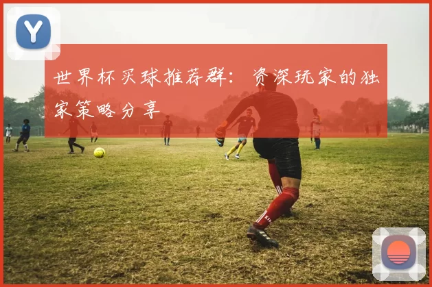 世界杯买球推荐群:资深玩家的独家策略分享