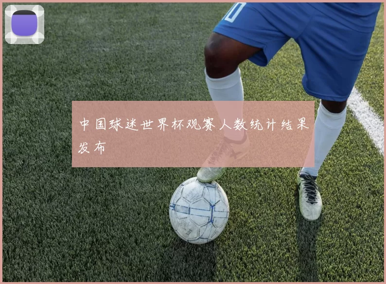 中国球迷世界杯观赛人数统计结果发布