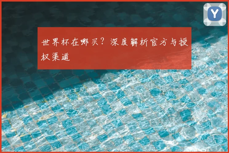 世界杯在哪买?深度解析官方与授权渠道