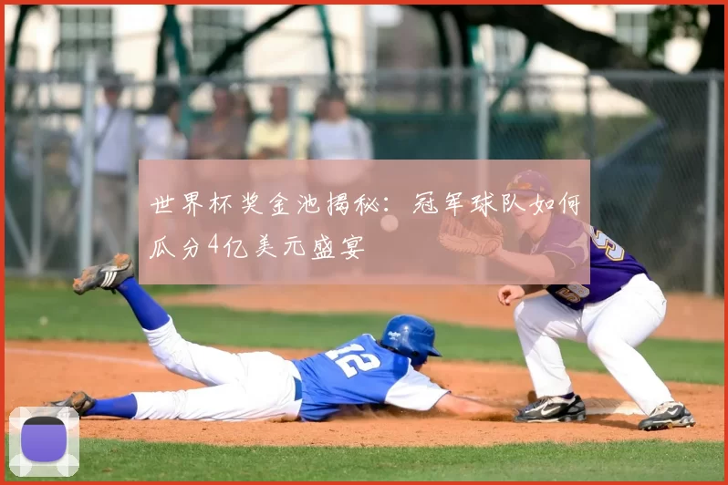 世界杯奖金池揭秘：冠军球队如何瓜分4亿美元盛宴